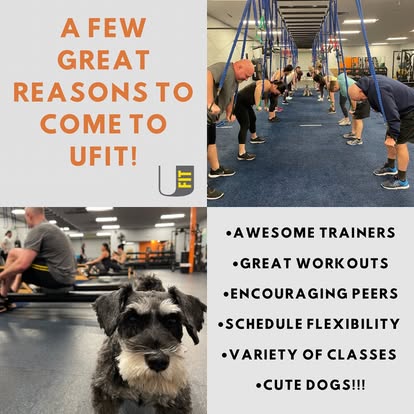 UFIT collage listing great trainers, workouts, peers, flexible schedules, classes, and dogs